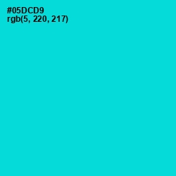 #05DCD9 - Robin's Egg Blue Color Image