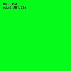 #05FB1A - Green Color Image
