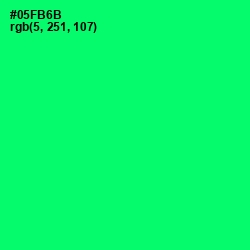 #05FB6B - Spring Green Color Image