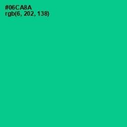 #06CA8A - Caribbean Green Color Image