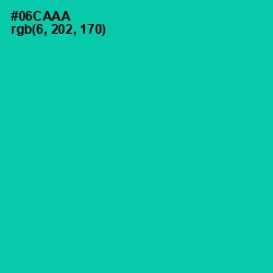 #06CAAA - Caribbean Green Color Image