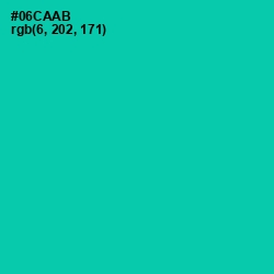 #06CAAB - Caribbean Green Color Image