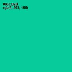 #06CB9B - Caribbean Green Color Image