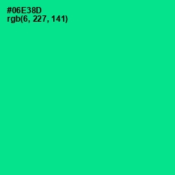 #06E38D - Caribbean Green Color Image