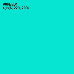 #06E5D1 - Bright Turquoise Color Image