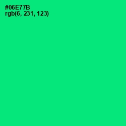 #06E77B - Spring Green Color Image
