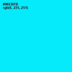 #06EBFB - Cyan / Aqua Color Image