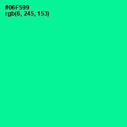 #06F599 - Caribbean Green Color Image