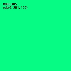 #06FB85 - Caribbean Green Color Image