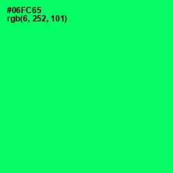 #06FC65 - Spring Green Color Image