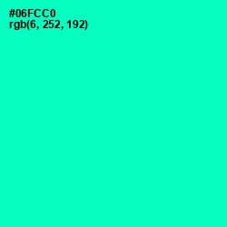 #06FCC0 - Bright Turquoise Color Image