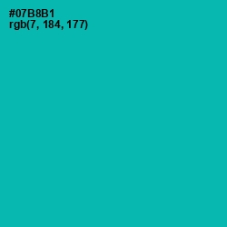 #07B8B1 - Persian Green Color Image