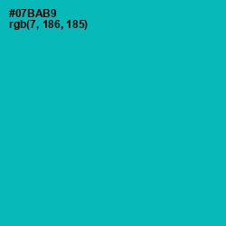 #07BAB9 - Bondi Blue Color Image