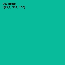 #07BB9B - Persian Green Color Image