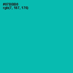 #07BBB0 - Persian Green Color Image