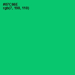 #07C66E - Malachite Color Image