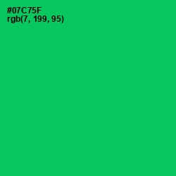 #07C75F - Malachite Color Image
