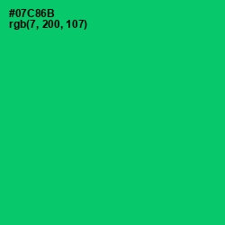 #07C86B - Malachite Color Image