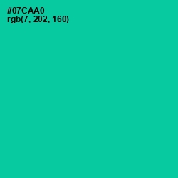 #07CAA0 - Caribbean Green Color Image