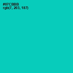 #07CBBB - Caribbean Green Color Image