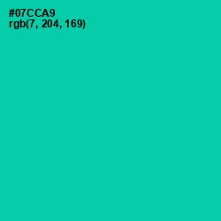 #07CCA9 - Caribbean Green Color Image