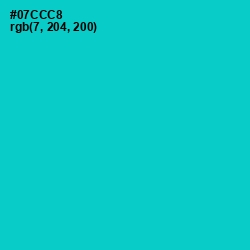 #07CCC8 - Robin's Egg Blue Color Image