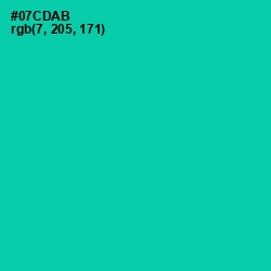 #07CDAB - Caribbean Green Color Image