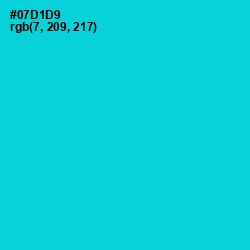 #07D1D9 - Robin's Egg Blue Color Image