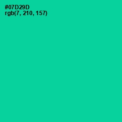 #07D29D - Caribbean Green Color Image