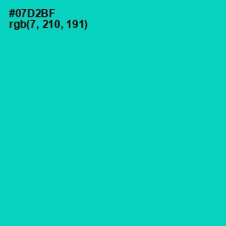 #07D2BF - Caribbean Green Color Image