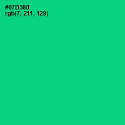 #07D380 - Caribbean Green Color Image