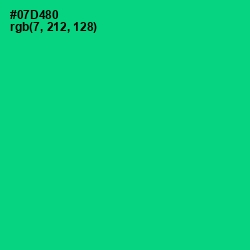 #07D480 - Caribbean Green Color Image