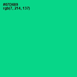 #07D689 - Caribbean Green Color Image