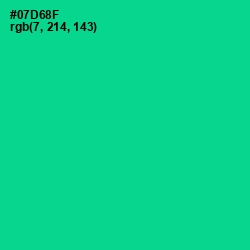 #07D68F - Caribbean Green Color Image