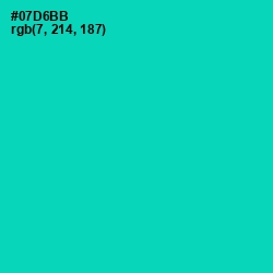 #07D6BB - Caribbean Green Color Image