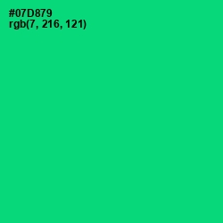 #07D879 - Spring Green Color Image