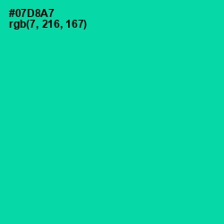 #07D8A7 - Caribbean Green Color Image