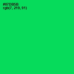 #07DB5B - Malachite Color Image