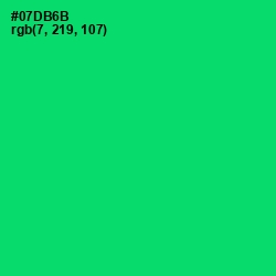 #07DB6B - Malachite Color Image