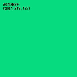 #07DB7F - Spring Green Color Image