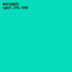 #07DBBD - Caribbean Green Color Image