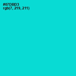 #07DBD3 - Robin's Egg Blue Color Image