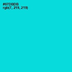 #07DBDB - Robin's Egg Blue Color Image