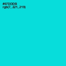 #07DDDB - Robin's Egg Blue Color Image