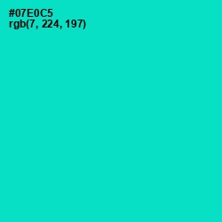 #07E0C5 - Bright Turquoise Color Image