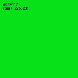 #07E117 - Green Color Image