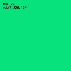 #07E27C - Spring Green Color Image
