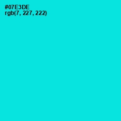 #07E3DE - Bright Turquoise Color Image