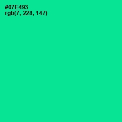 #07E493 - Caribbean Green Color Image