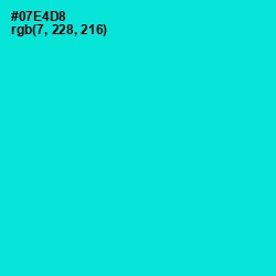 #07E4D8 - Bright Turquoise Color Image